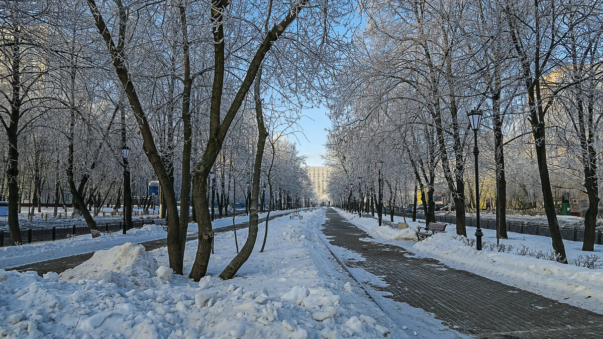 Бульвары Москвы. - Aleksey Afonin