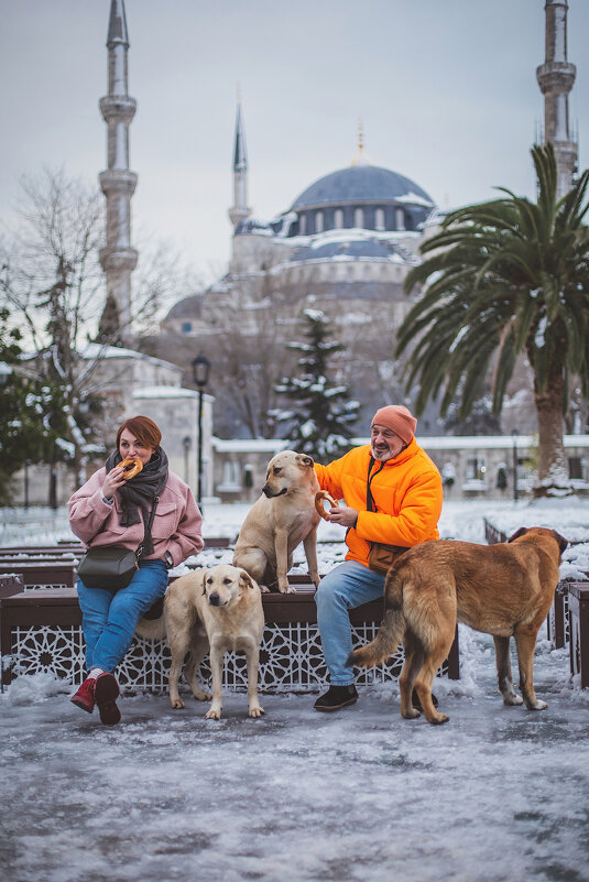 Снег в Стамбуле - Ирина Лепнёва