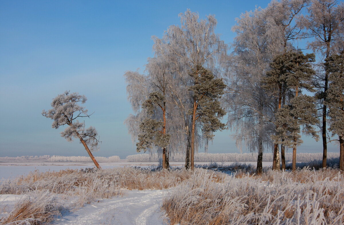 Зимний  пейзаж - Нэля Лысенко