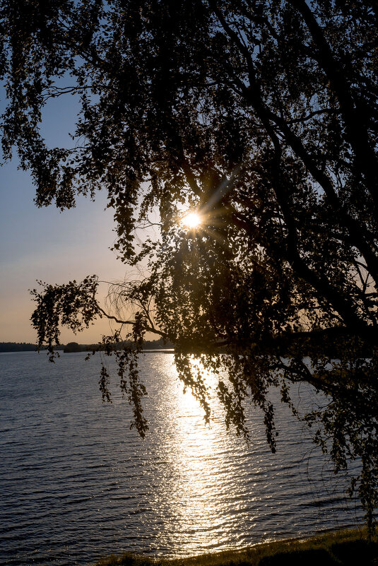 Бородаевское озеро - Александр Силинский