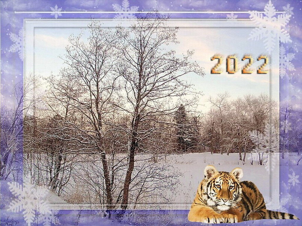 С Новым 2022 годом по восточному календарю! - Лия ☼