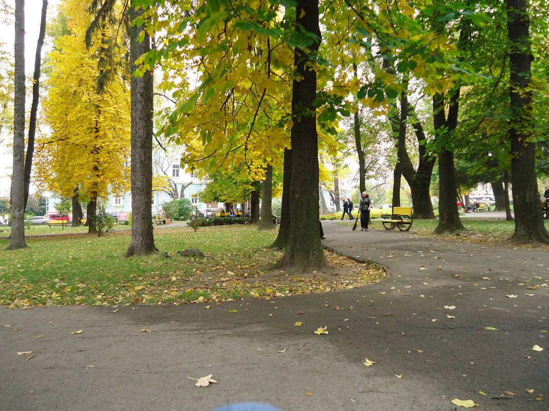 Во время отдыха в парке - Christina Batovskaya