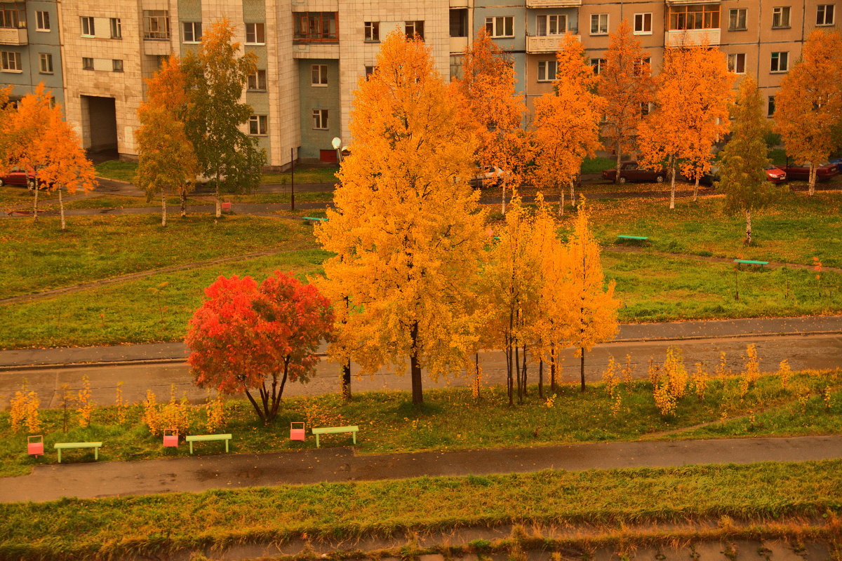 Осень золотая - LANCE 