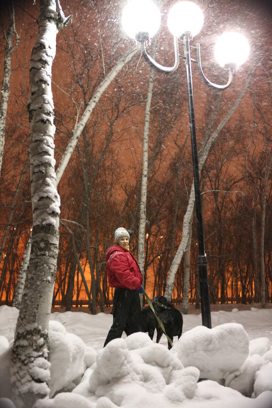 Морозный вечер в центральном парке - Юрий Ли
