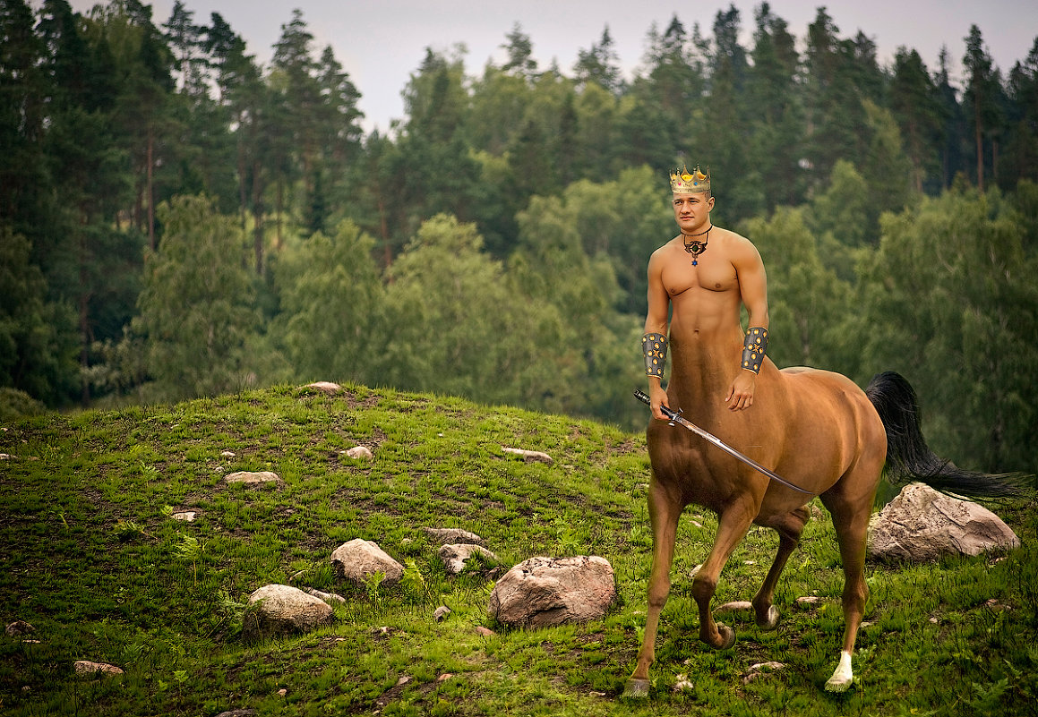 King of centaurs - Глеб Буй