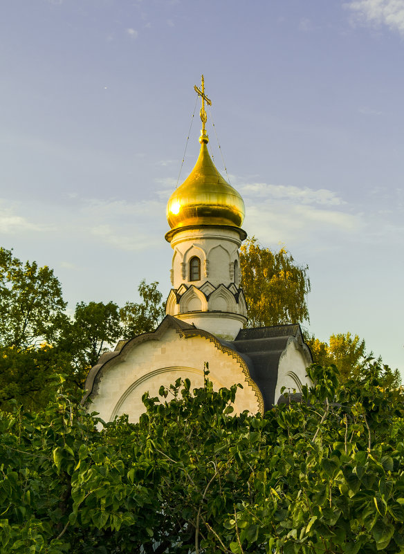 . - Сергей Донской