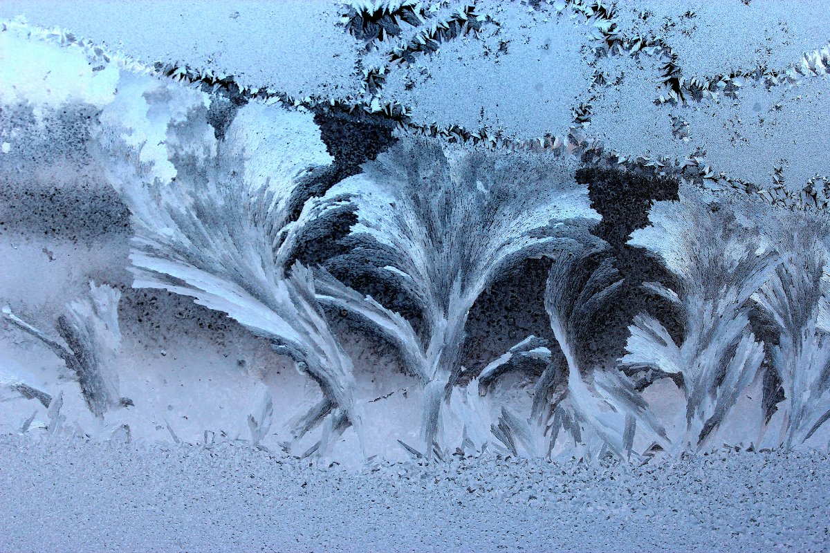 Мороз рисует на стекле - Александр Велигура