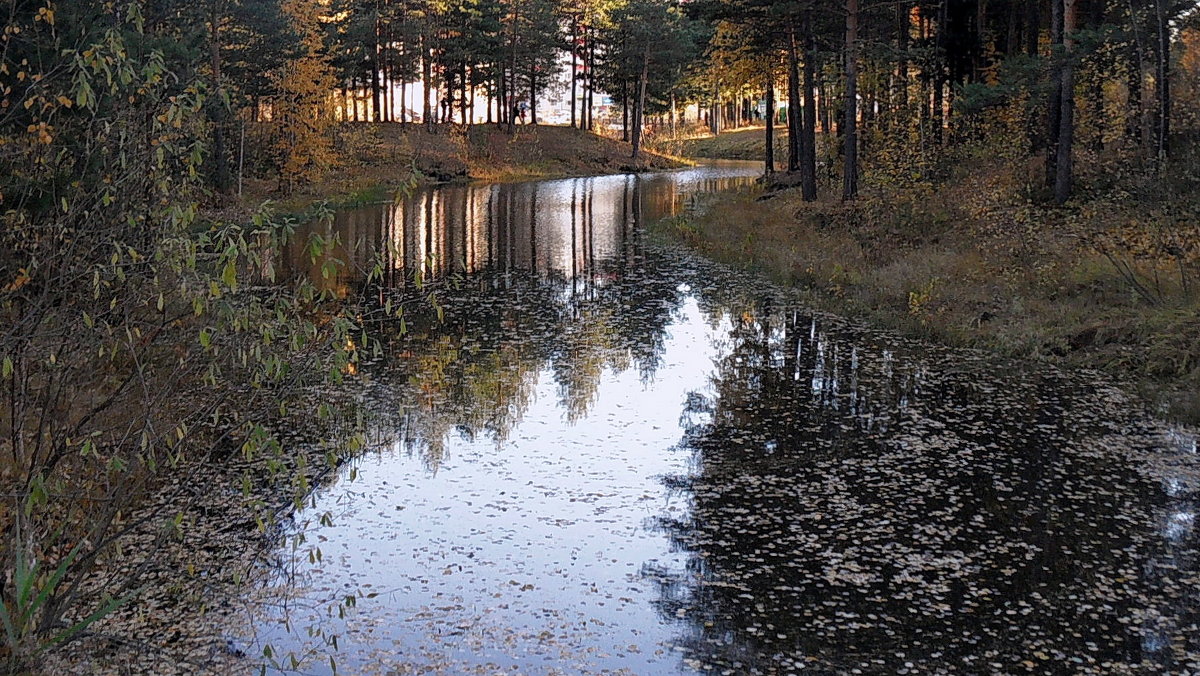 осень в парке - Олег Петрушов