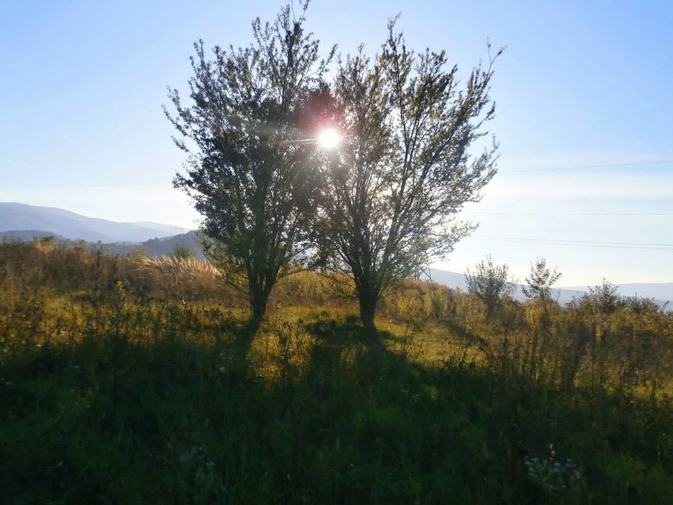 Осеннее утро - Александра 