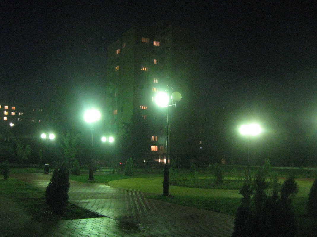 Ночной город - Ольга 