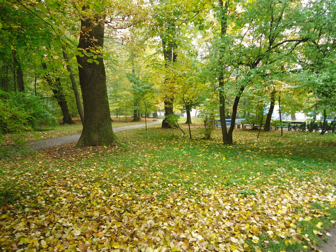 Осень-осень, лес остыл и листья сбросил.... - Christina Batovskaya