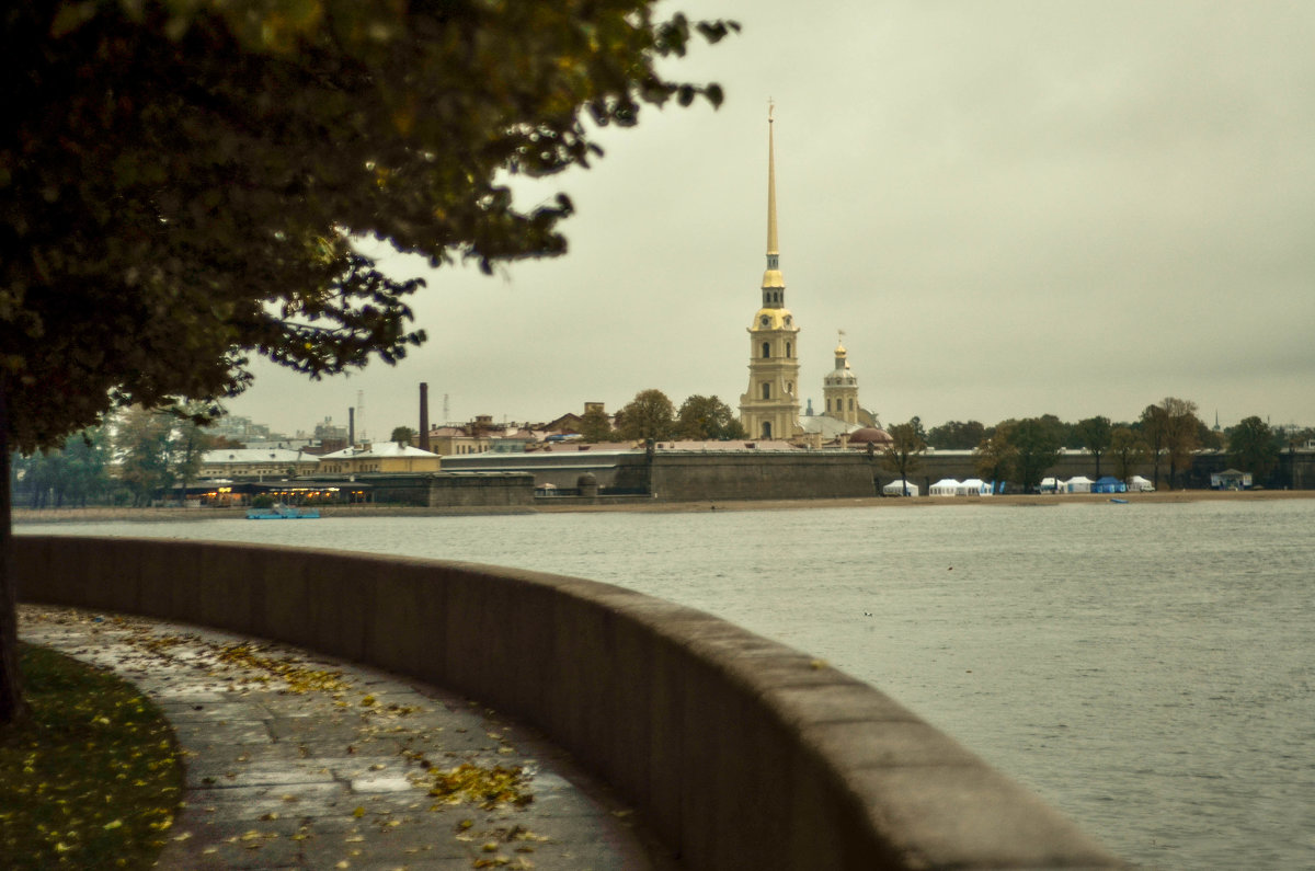 Золотая осень в СПБ Петроградка