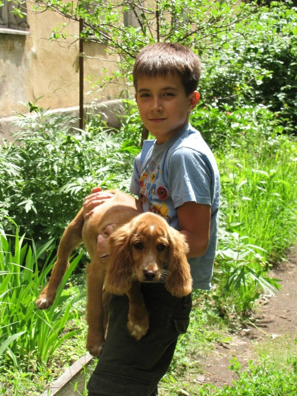 Мальчик с собакой - Ольга Иргит