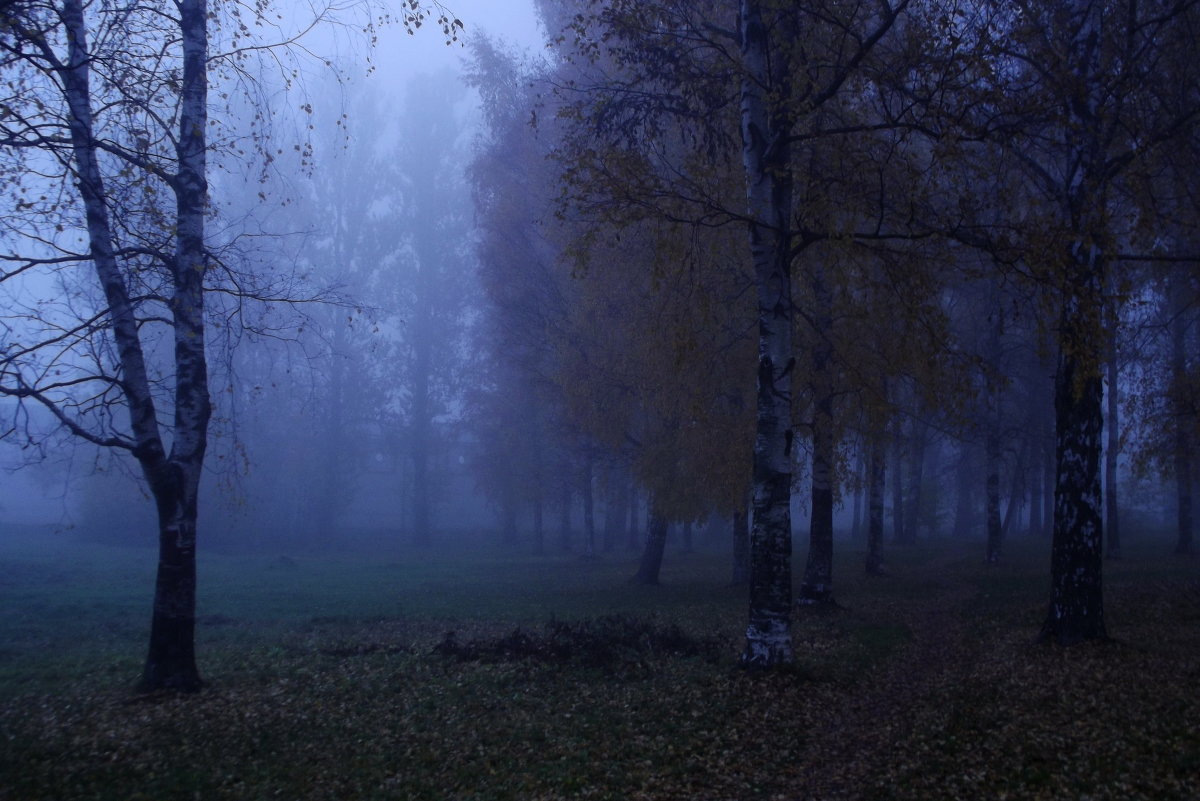парк в тумане - Сергей Кочнев