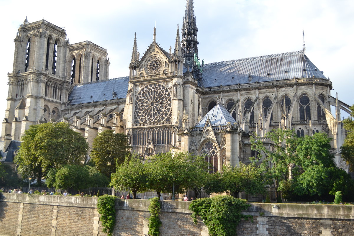 Notre-Dame de Paris - Алёна Колесникова