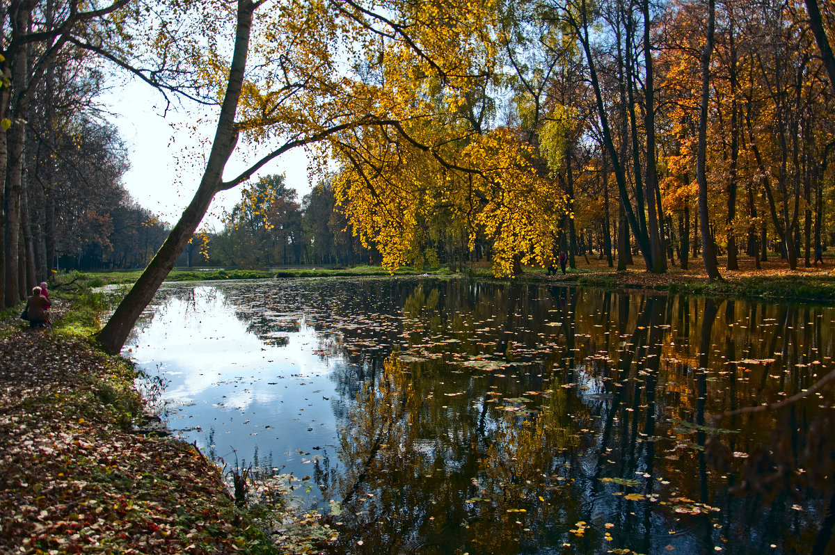 Осень в парке - Виктория Колпакова