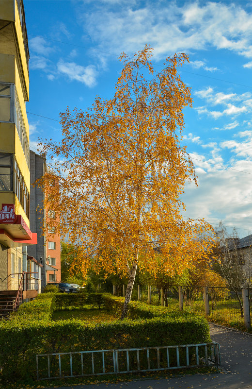 Осень в городе - юрий Амосов