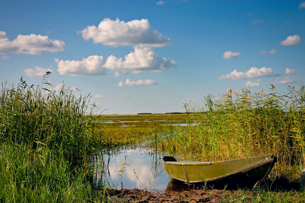 На озере - Андрей Еремеев