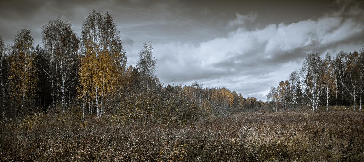 Осень - Андрей Гусев