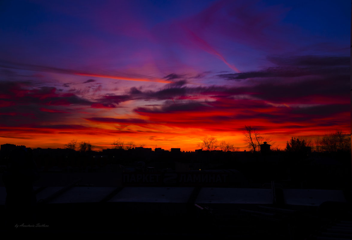 Вечернее небо столицы - Анастасия Светлова