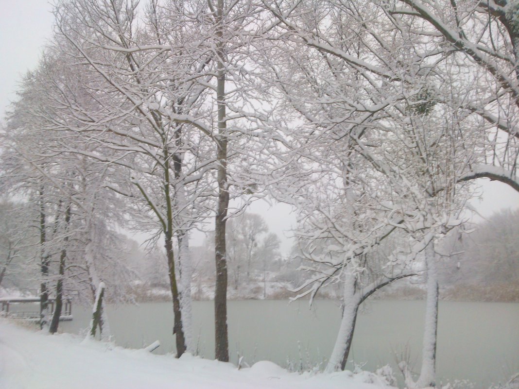 Первый Снегопад 2012 - Ксю К