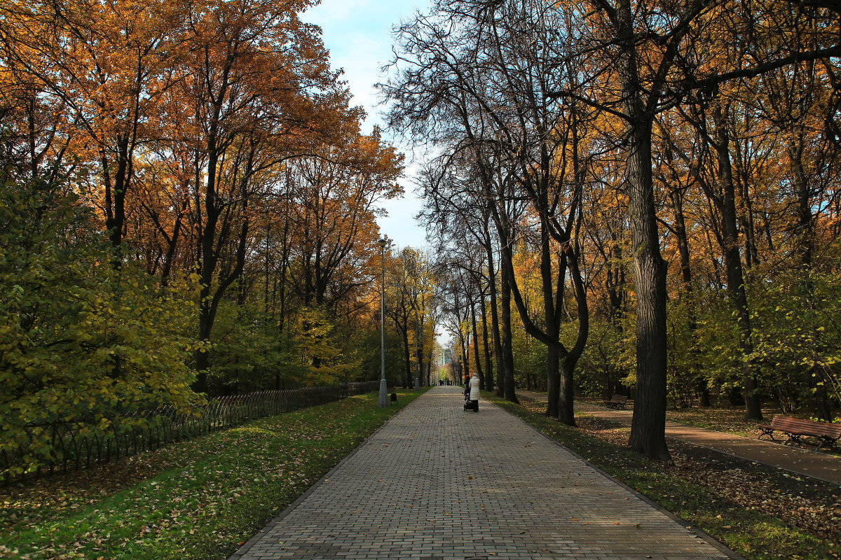 парк Воронцово .Москва, октябрь - юрий макаров