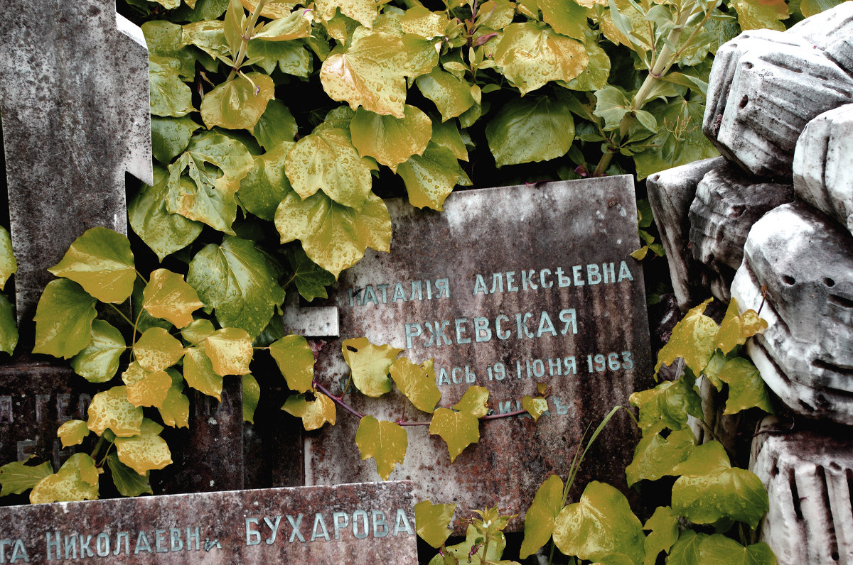 Забытые могилы. Русское кладбище Кокад. Ницца - Владимир Нев