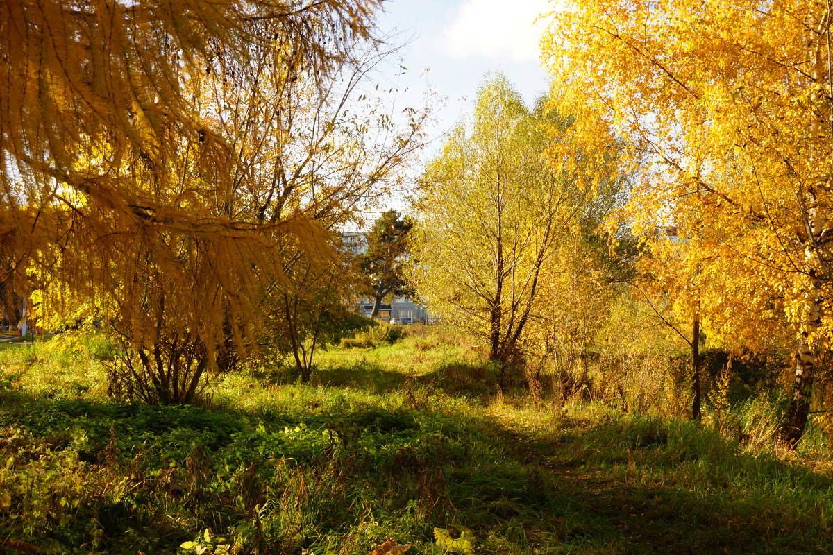 осень - Александр Тверской