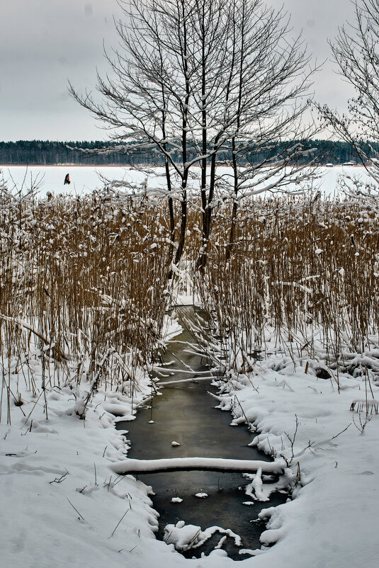 Зимее озеро - Artur Pauris