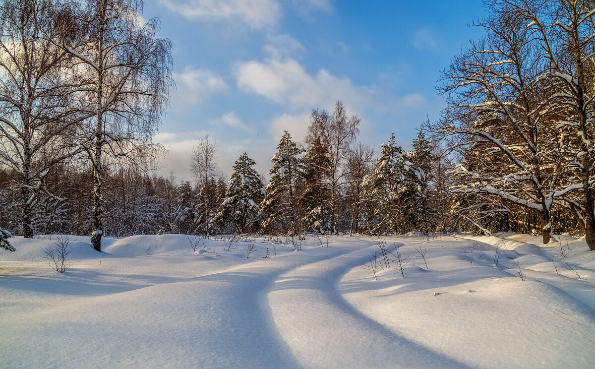 Морозное утро второго января # 11 - Андрей Дворников