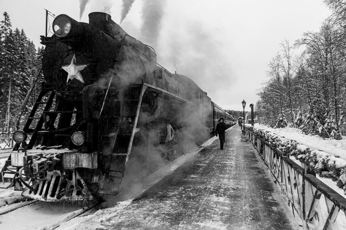 Поезд в прошлое - Roman Zateshilov