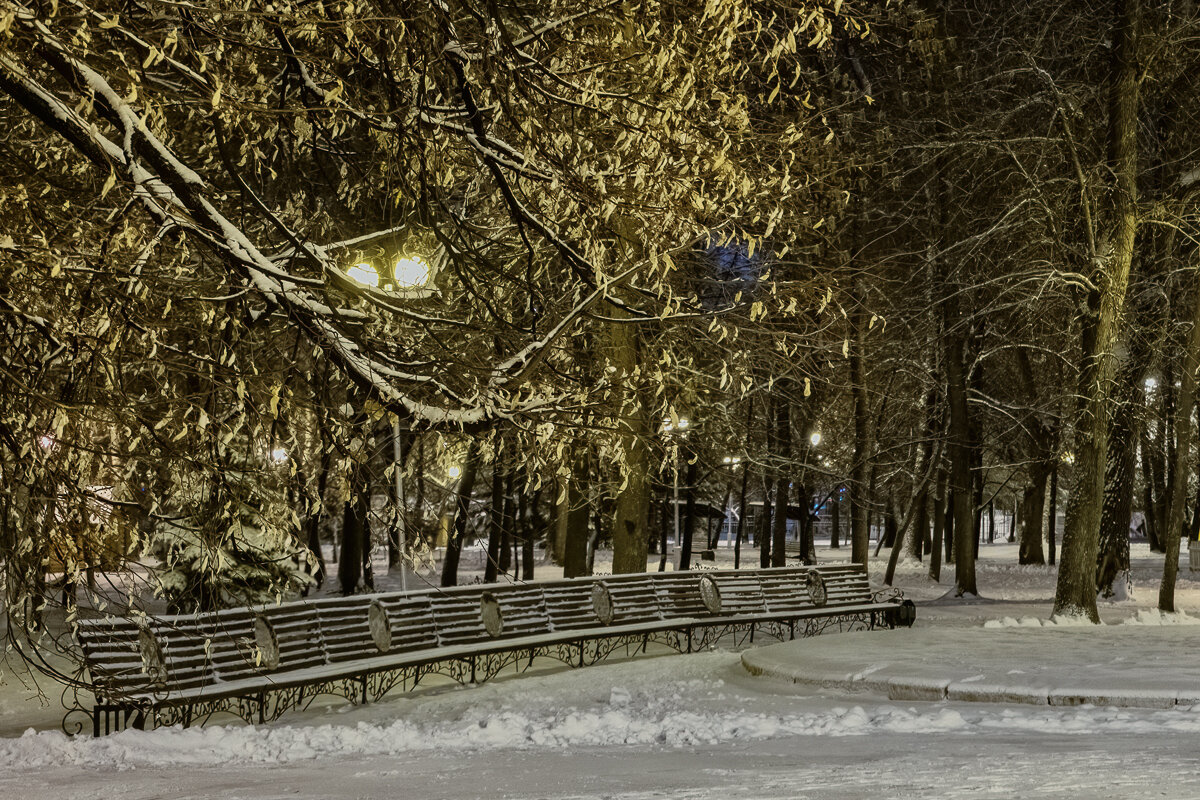 В зимнем парке... - Сергей Шатохин 