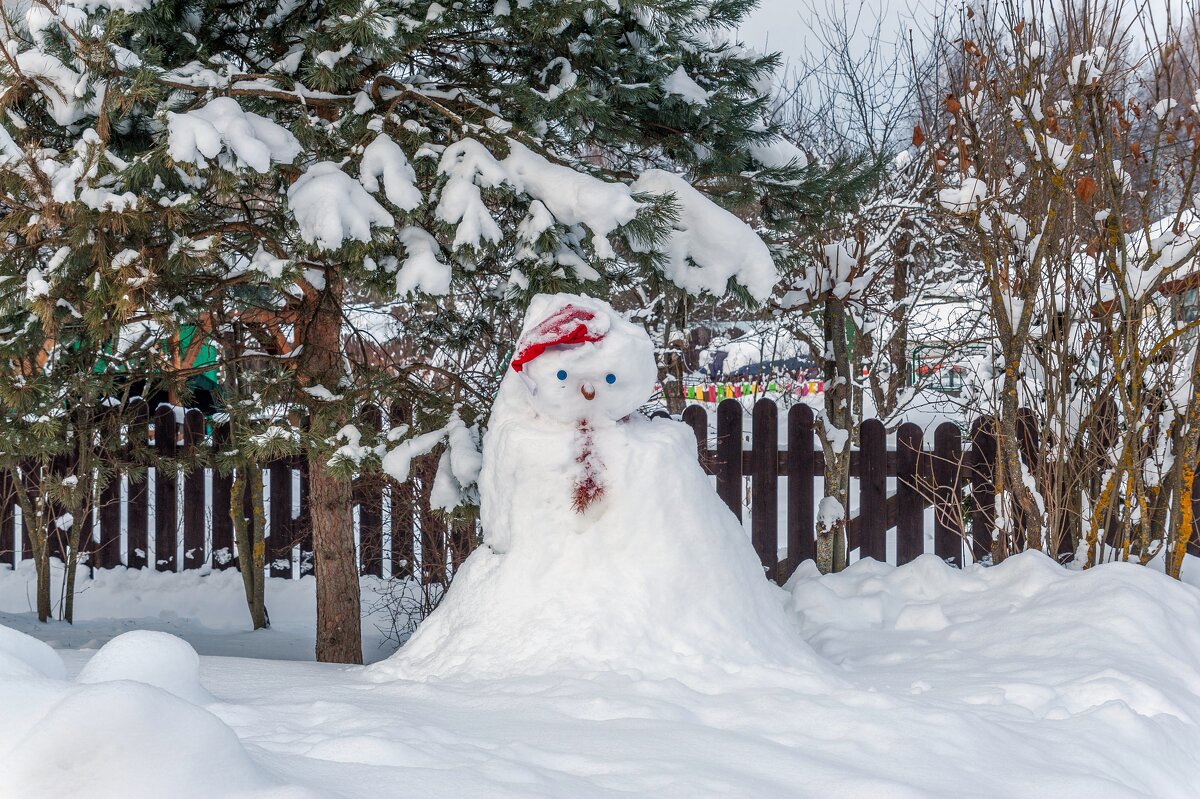 Синеглазый снеговик - Валерий Иванович