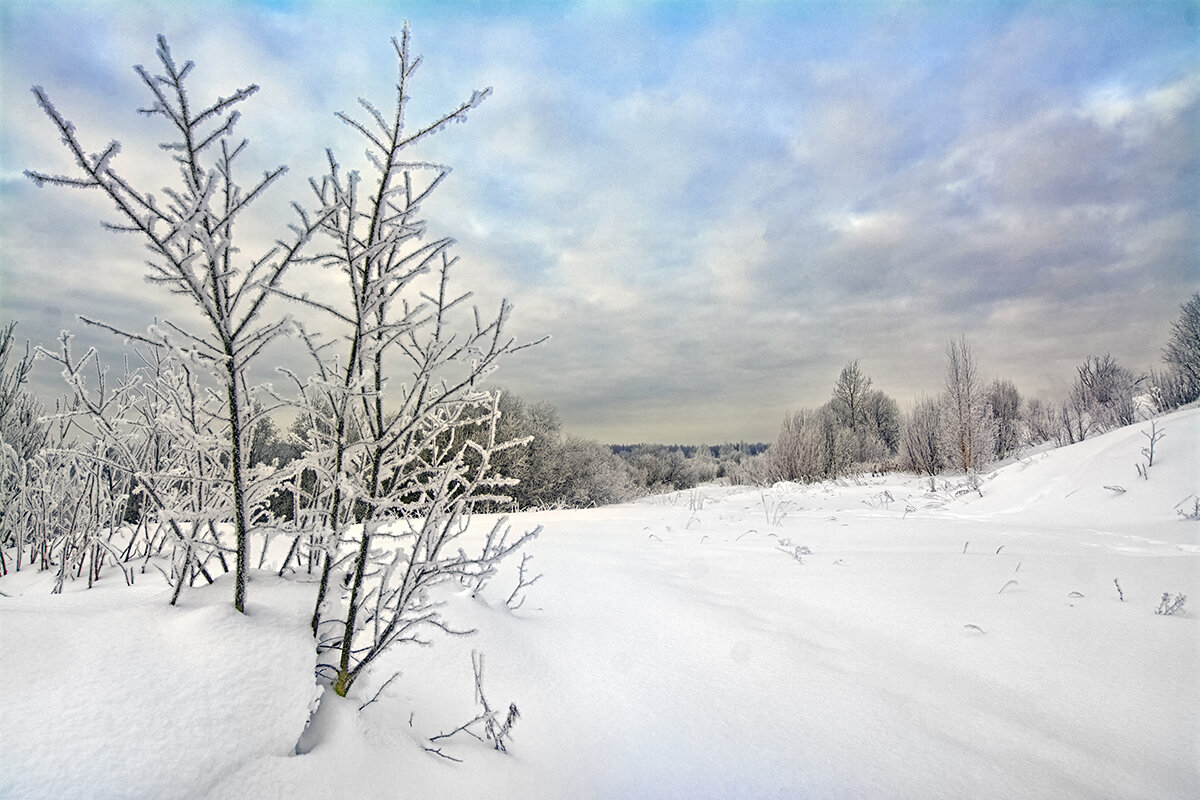 В снежной бахроме - Юрий Митенёв