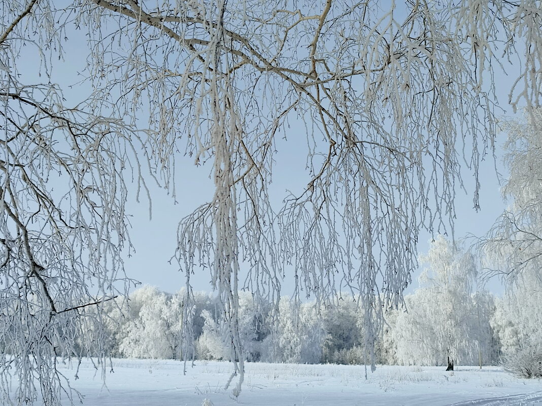 Зима. - Валентина Богатко 