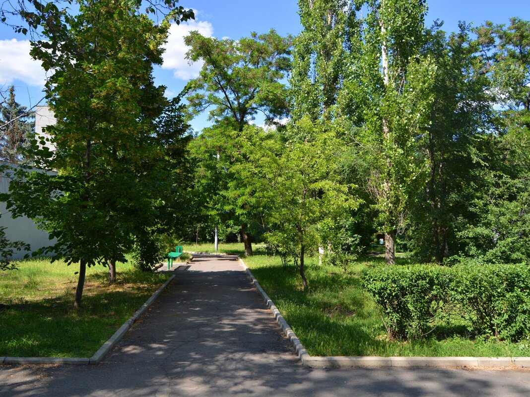 Каменск-Шахтинский. Пионерский сквер. - Пётр Чернега