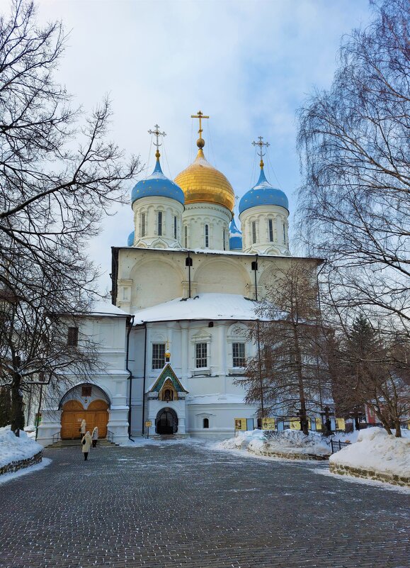 Новоспасский монастырь - Константин Анисимов