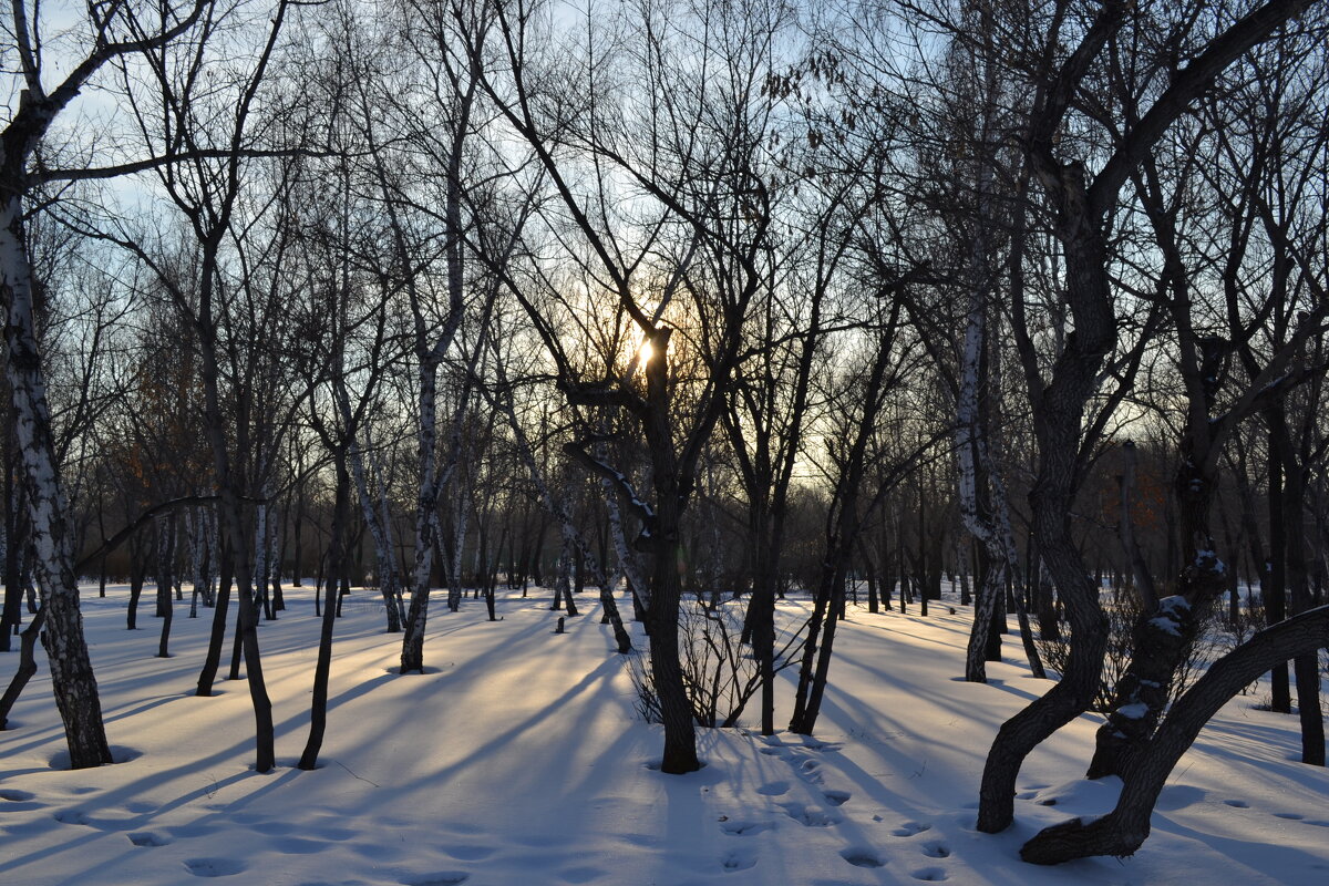 Следы на снегу.... - Андрей Хлопонин