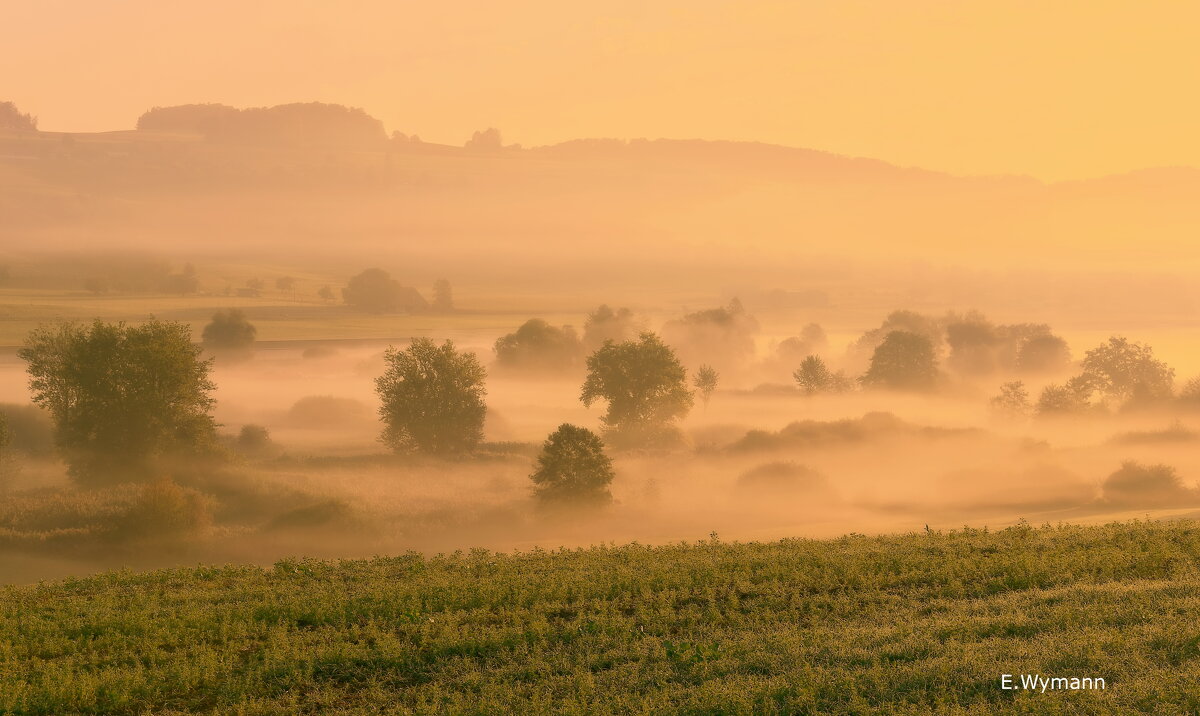 misty morning - Elena Wymann