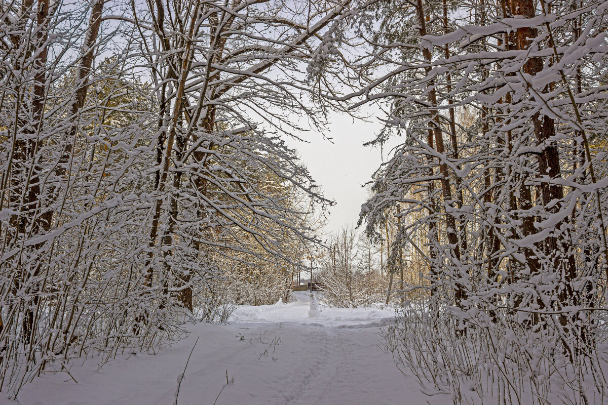 Февраль - оксана 