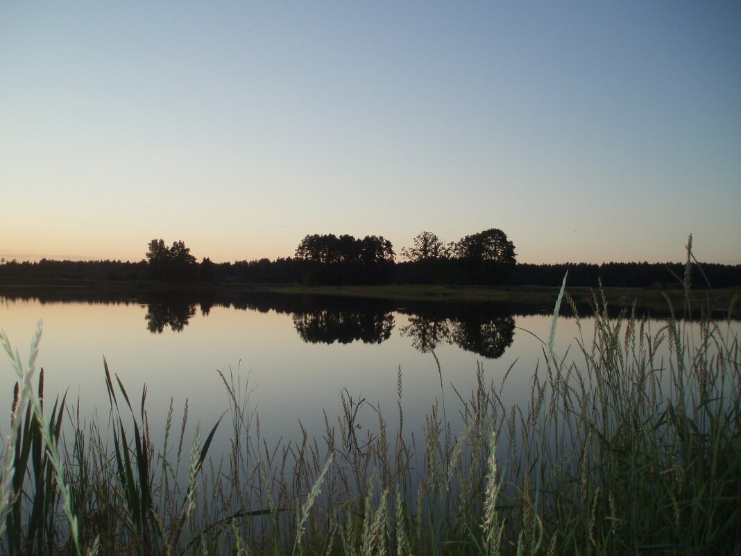Evening in Lithuania - silvestras gaiziunas gaiziunas