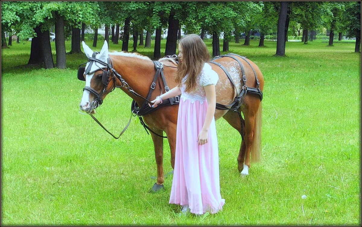 Девушка и лошадь - Mike Collie