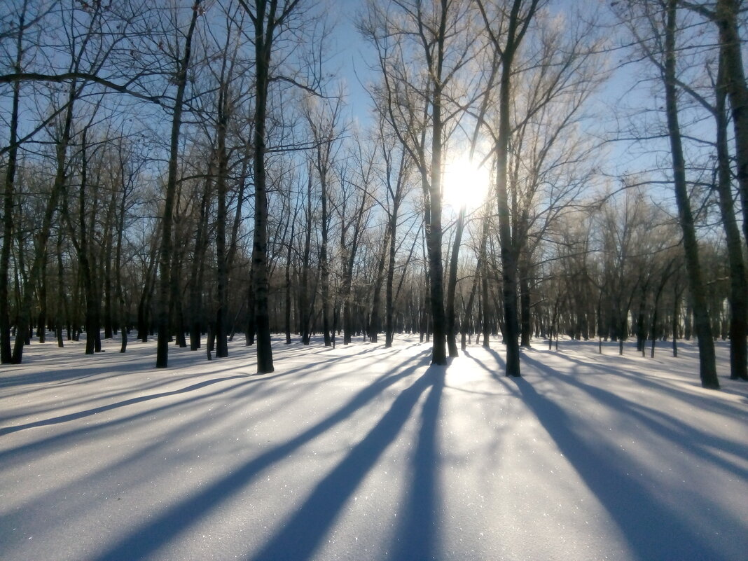 В снегах февраля - Андрей Хлопонин