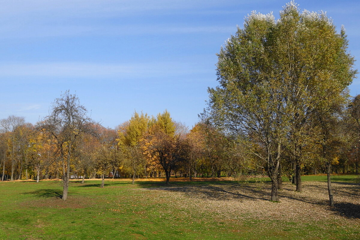 Музей-заповедник Царицыно - Маргарита Батырева