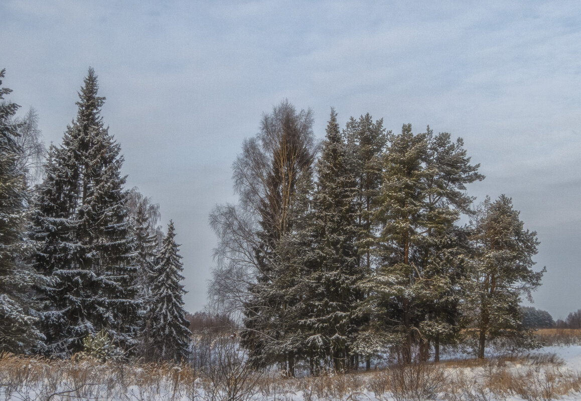 Перелесок - Сергей Цветков