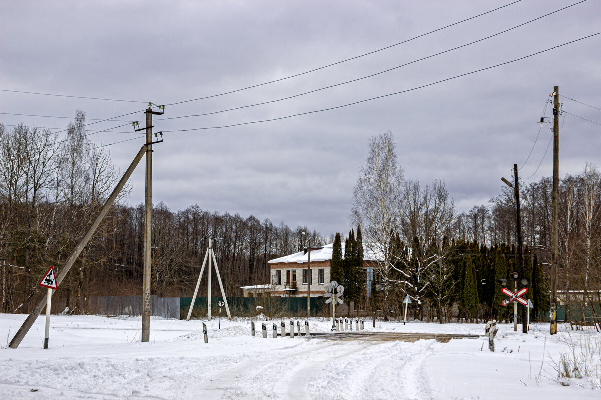 .. - оксана 