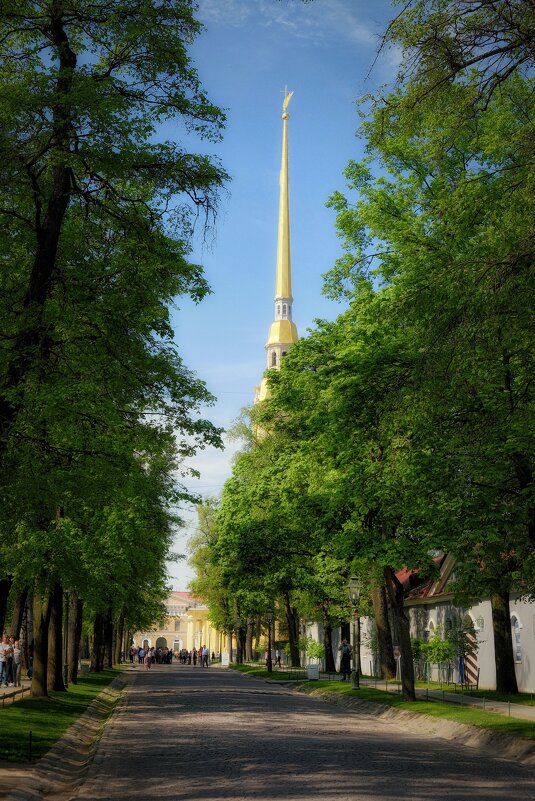 Петербургские зарисовки - Александр Гапоненко