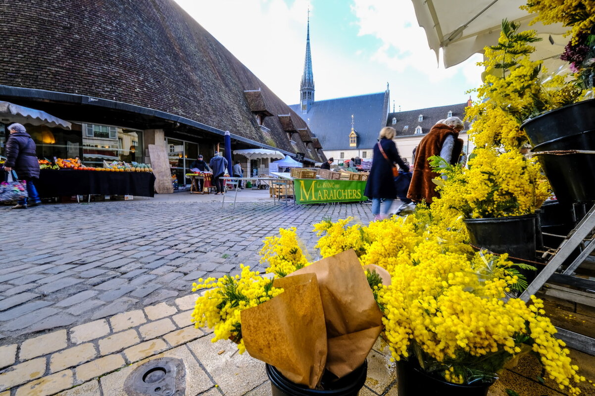 На рыночной плозади г. Бонн (Beaune) - Георгий А