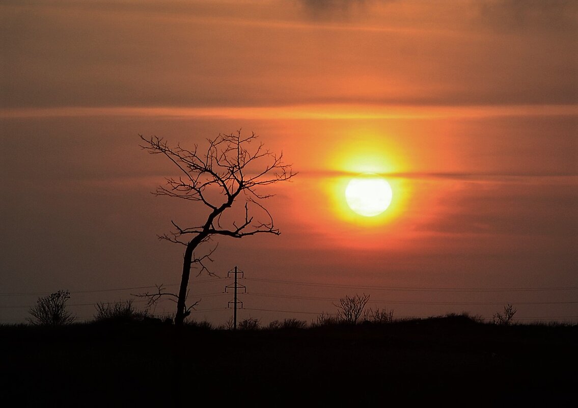 Пейзаж на закате дня - Ольга (crim41evp)