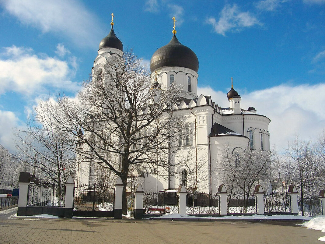 Собор Св. Архангела Михаила. - Лия ☼